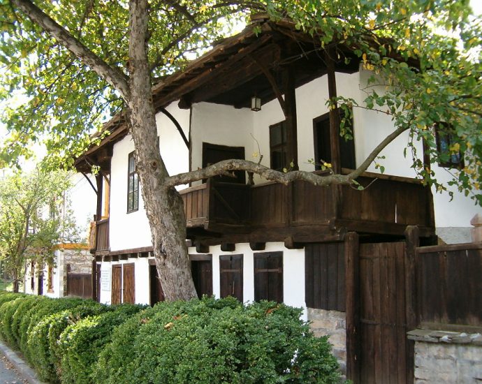 goliam izvor 1904231 Жителите на с. Голям Извор със сигнали до Областен управител, кмет, Директор на полицията, депутати, за "безбройни кражби и посегателства" в селото
