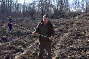 zalesiavane 2606231 1 Над 800 декара нови гори са залесени от Северозападно държавно предприятие по проекта с европейско финансиране