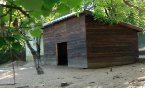 remont zoo lovech 507231 2 Пресцентър: Постоянни и растящи са грижите на Община Ловеч за състоянието на животните в местния Зоопарк