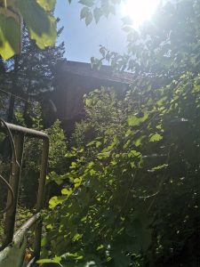 kazarma lovech 3108231 2 Областният управител отсрочи вземането на Казармата до 27 септември. Община Ловеч чакала да кандидатства по проект