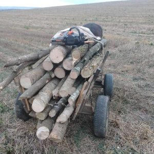 karuca darva 1210231 В землището на Луковит е заловен браконер с каруца немаркирани дърва