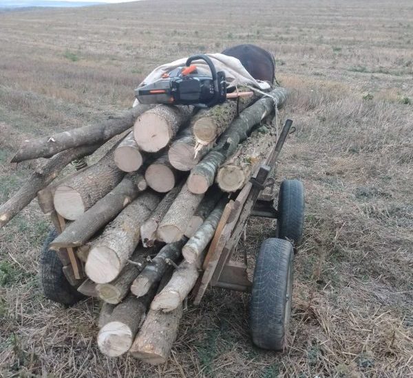 karuca darva 1210231 Предотвратен е нелегален превоз на дърва. Незаконно добитата дървесина и каруца са иззети
