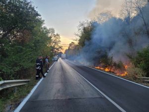 gori pojari 1411231 2 РАЙОННА СЛУЖБА ПОЖАРНА БЕЗОПАСНОСТ И ЗАЩИТА НА НАСЕЛЕНИЕТО - ТРОЯН ИНФОРМИРА