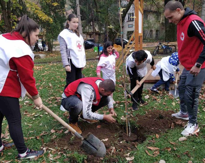 red cross tree 1411231 3 МЛАДЕЖКАТА ОРГАНИЗАЦИЯ НА БЧК ТРОЯН ЗАСАДИ ДРЪВЧЕТА В ГРАДИНКА „ТРОЯНКА“