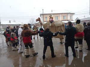 kamilata 2101241 1 На Ивановден (по стар стил) в с. Йоглав се разигра местният автентичен обичай „Камилата”,