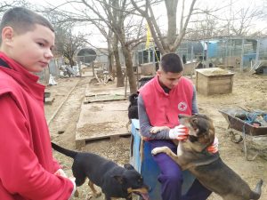 red cross 1202241 12 ДОБРОВОЛЦИТЕ НА БЧК – ЛОВЕЧ ОТНОВО ПОМОГНАХА НА БЕЗДОМНИЧЕТАТА И НПО „ДОМ ЗА БЕЗДОМНИЧЕТА“