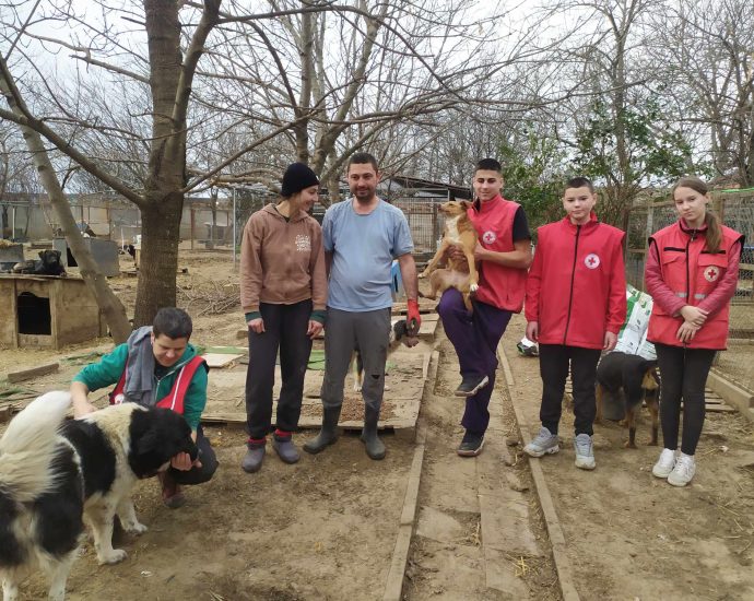 red cross 1202241 6 ДОБРОВОЛЦИТЕ НА БЧК – ЛОВЕЧ ОТНОВО ПОМОГНАХА НА БЕЗДОМНИЧЕТАТА И НПО „ДОМ ЗА БЕЗДОМНИЧЕТА“