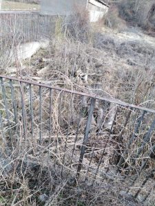 sech darveta 1202241 2 Областният управител Виктор Стойчев сезира Окръжна прокуратура за изсечени дървета в два държавни имота