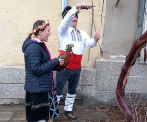 zarezan sela 1402241 3 В Слатина и Владиня ритуално зарязаха лозята. В Йоглав си избраха Царица на лозята на Зарезан,