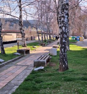 aleia kosmonavti 2803241 На 12 април ще бъдат засадени нови брези на Алеята на космонавтите