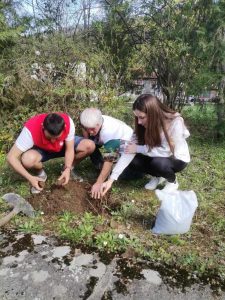 gradinka vandali 1004241 5 ОГРАБИХА ГРАДИНКА „ТРОЯНКА“ СЛЕД ИНИЦИАТИВА НА БМЧК-ТРОЯН