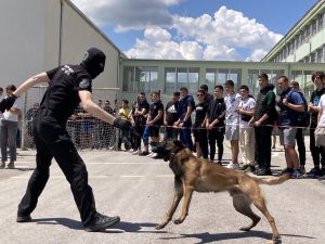 kampania droga 3105241 1 Специално обучените митничарски кучета Гари и Гая взеха участие в кампанията „Не сте сами“ в борбата срещу дрогата