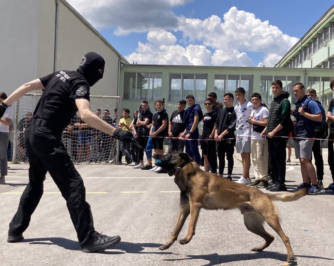 kampania droga 3105241 1 Специално обучените митничарски кучета Гари и Гая взеха участие в кампанията „Не сте сами“ в борбата срещу дрогата