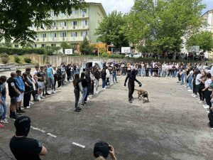 kampania droga 3105241 3 Специално обучените митничарски кучета Гари и Гая взеха участие в кампанията „Не сте сами“ в борбата срещу дрогата