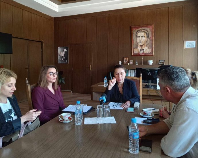 sreshta izbori 3105241 Областният управител Дора Стоянова заяви готовност за провеждането на избори за европейски парламент и народни представители на 9 юни 2024 г.