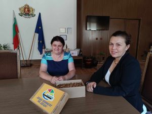 jalti stotinki 1207241 За трета поредна година близо 15 кг монети са събрани от служителите на областна администрация за акцията „Жълти стотинки. Деца помагат на деца“