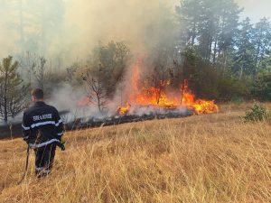 pojar gora 1908241 1 Големи пожари в Ловешка област – огнеборци спасиха сгради и денонощно овладяват пламъци
