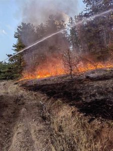 pojar gora 2508241 4 Служители от Горските стопанства в Лесидрен, Монтана и Белоградчик гасят пожари дни наред