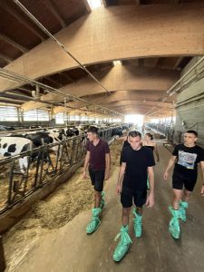 veterperasmus 1309241 4 ALMA MATER STUDIORUM - Università di Bologna посрещна Националната гимназия по ветеринарна медицина в Ловеч