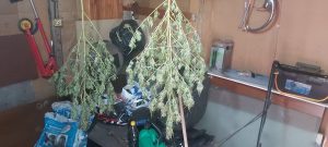 akcia police 210241 5 1 Операция за противодействие на престъпността, гарантиране политическите права на гражданите и безопасност на движението се проведe вчера и днес в част от населените места в област Ловеч