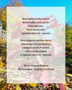 proekt znanie 2711241 1 „Заедно за многообразие“ – младежи от Ловеч вдъхновяват промяната Многообразието като път към толерантно общество