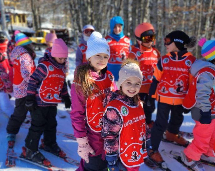 ski troyan deca 1301251 5 За шеста поредна година ще бъде осигурено безплатно обучение по ски на деца в начален етап на обучение в община Троян
