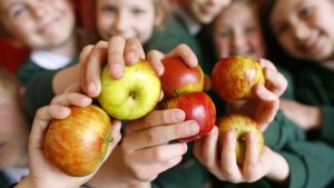 School fruit and veg 2904251 От 2 май до 2 юни 2025 г. Държавен фонд „Земеделие“ отваря прием по схеми „Училищен плод“ и „Училищно мляко“ за учебната 2025/2026 г.