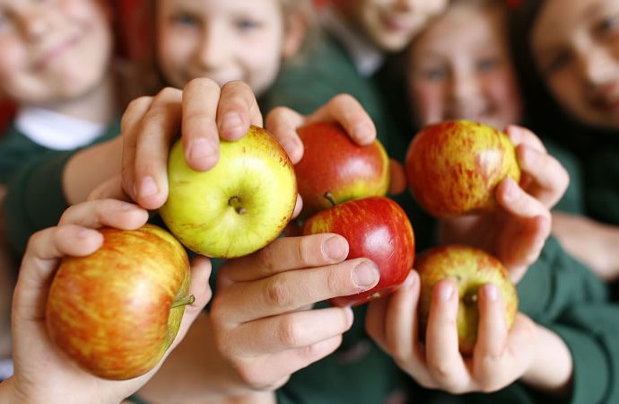 School fruit and veg 2904251 От 2 май до 2 юни 2025 г. Държавен фонд „Земеделие“ отваря прием по схеми „Училищен плод“ и „Училищно мляко“ за учебната 2025/2026 г.