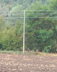 Electroprovod Ablanitsa1 ЕРМ Запад модернизира електропровода за угърчинските села