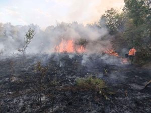 pojari 1108251 1 Пожари край Къкрина и Радювене бяха овладени с общи усилия