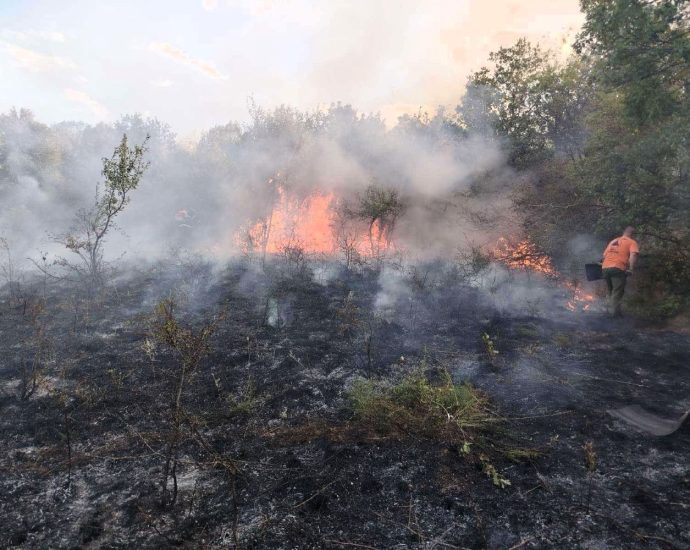 pojari 1108251 1 Пожари край Къкрина и Радювене бяха овладени с общи усилия