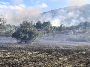 pojari 1108251 2 Пожари край Къкрина и Радювене бяха овладени с общи усилия
