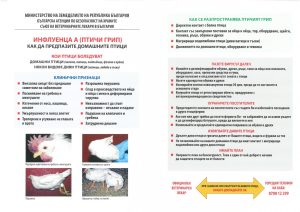 broshura ptichi grip 150226 Регистрирано огнище на птичи грип и указания към собствениците на птици