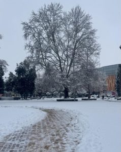 snjag lovech 180226 e1771410677618 Зимната обстановка в община Ловеч е под контрол, екипите работят на терен