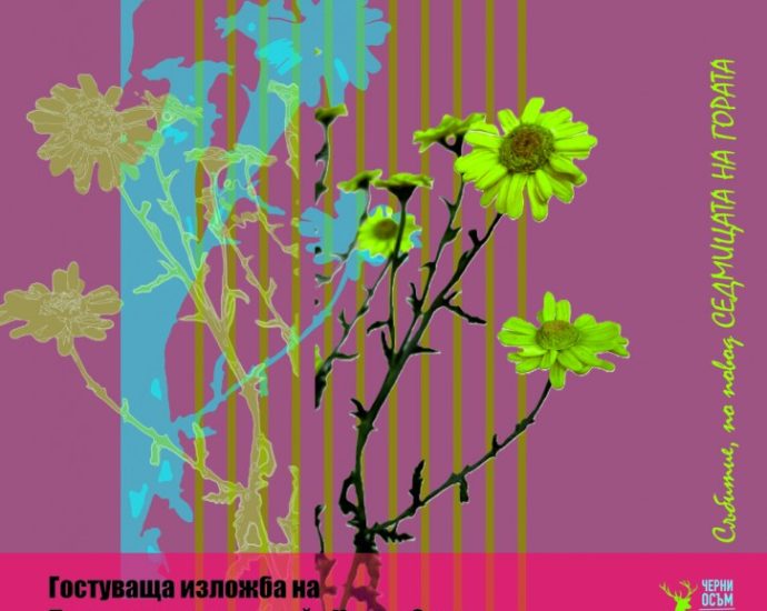 izlojba keramika troyan 310326 Изложбата „Керамична флористика – изкуство и ботаника“ ще бъде открита официално на 6 април от 17:30 ч. в галерия „Портата“