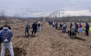 zasajdane ovoshki 180326 1 Община Ловеч стартира производство на екологично чисти плодове в с. Лисец