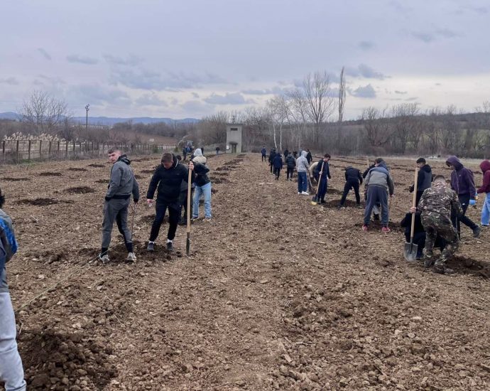 zasajdane ovoshki 180326 1 Община Ловеч стартира производство на екологично чисти плодове в с. Лисец
