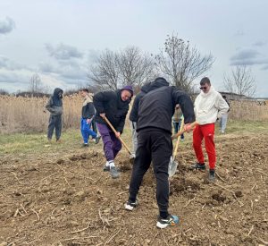 zasajdane ovoshki 180326 2 Община Ловеч стартира производство на екологично чисти плодове в с. Лисец