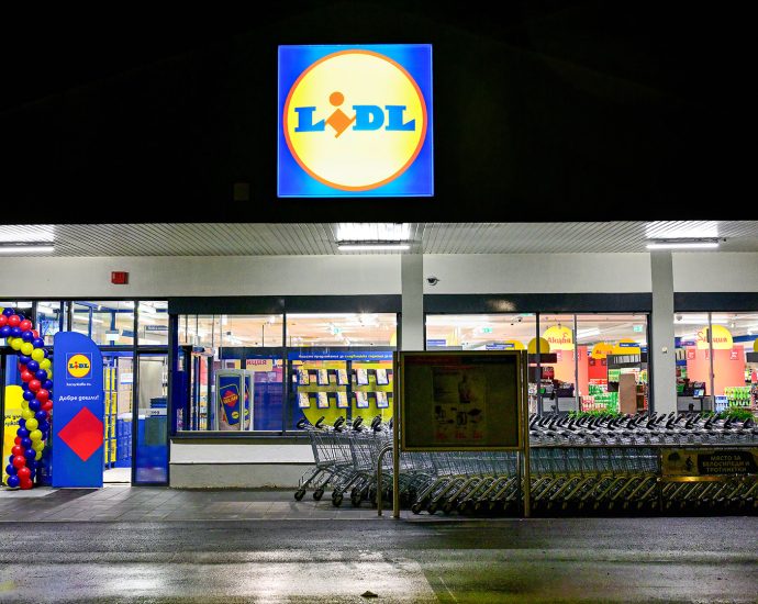 Lidl Lukovit 2026 2 Lidl в Луковит отвори врати изцяло обновен