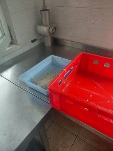 nezakonen ceh meso 10426 2 Фейсбук търговия с наденици доведе полицията до незаконен цех в с. Торос