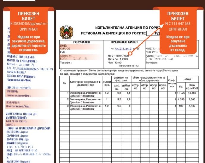 rdg gori lovech 230926 3 РДГ – Ловеч с три съвета как да разпознаем незаконно придобита дървесина