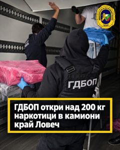 gd bop lovech 121026 2 Над 200 кг марихуана и кокаин открити в два камиона с месо в Ловеч, шофьорите са задържани